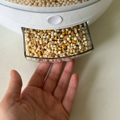 Six-Compartment Dry Food Dispenser – view 3