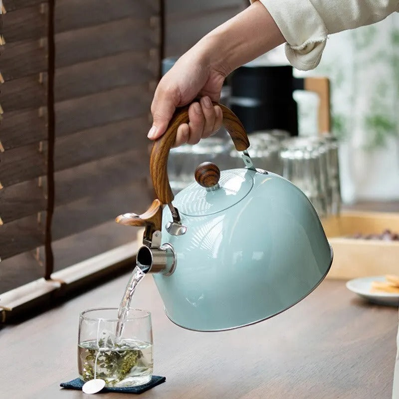 Stainless Steel Whistling Kettle – view 4